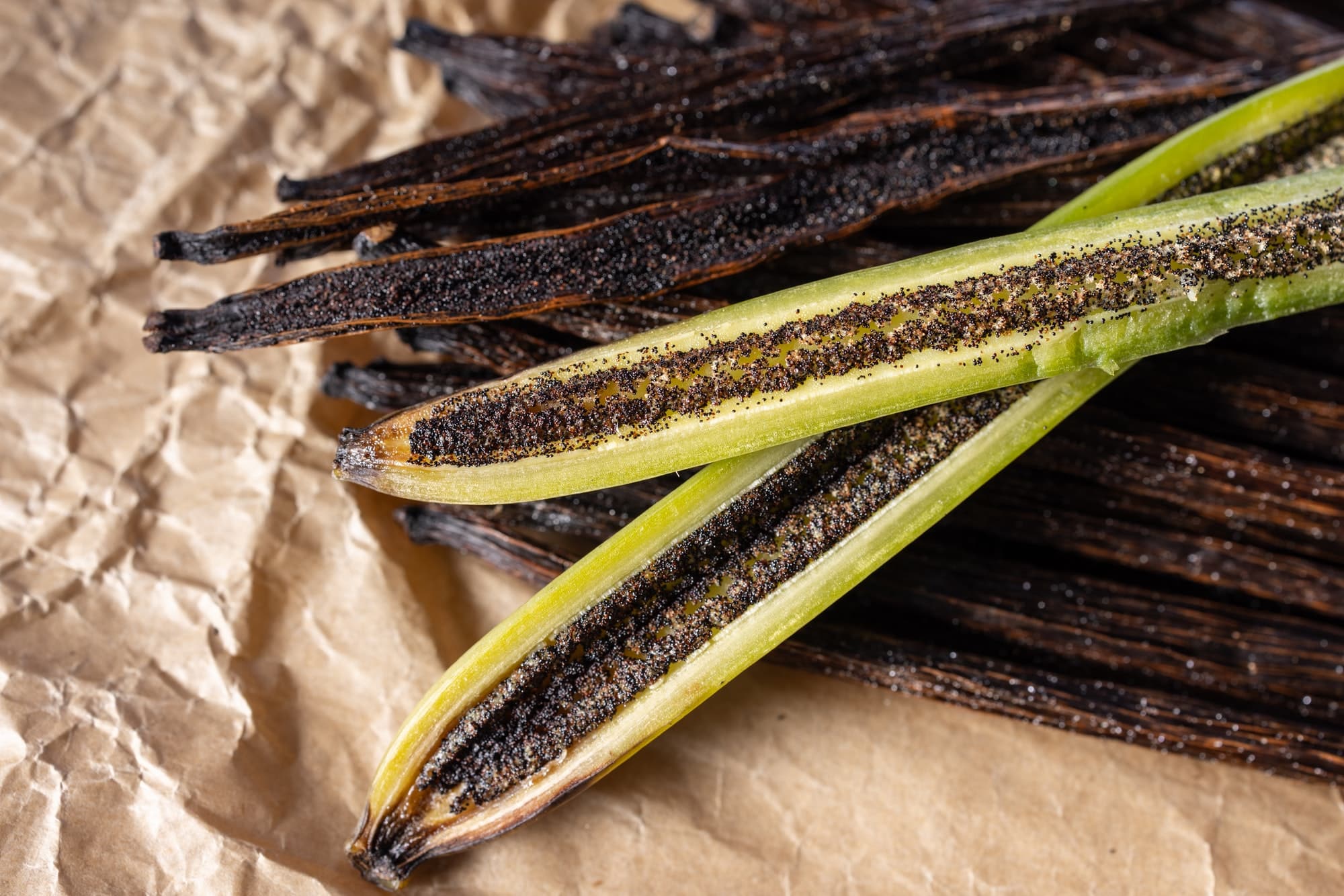 Black seeds of vanilla inside pods from the mature pod.Ready to harvest.