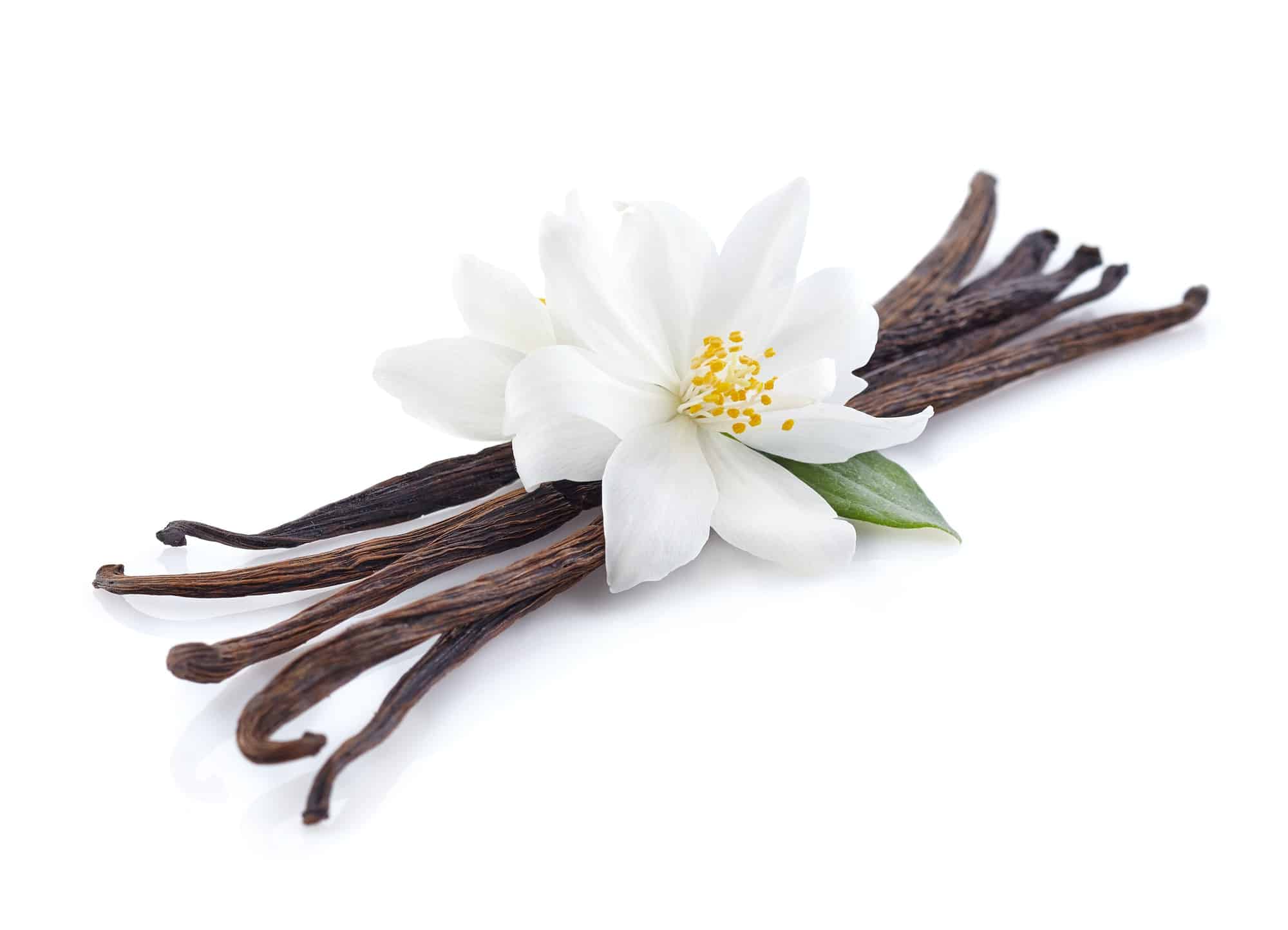 Jasmine with vanilla